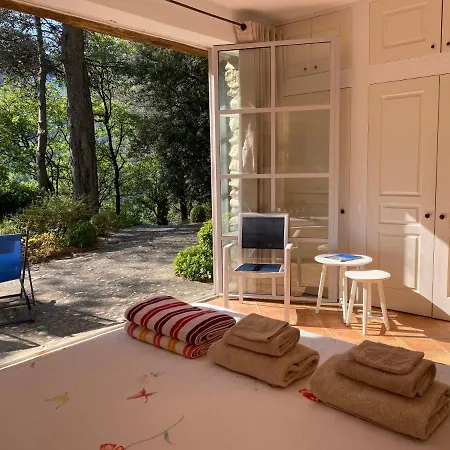 Luberon's Hidden Gem